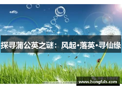 探寻蒲公英之谜：风起·落英·寻仙缘
