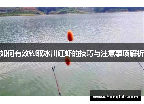 如何有效钓取冰川红虾的技巧与注意事项解析